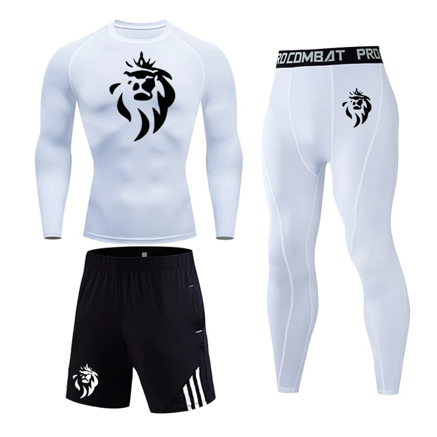 ensemble LionzFit